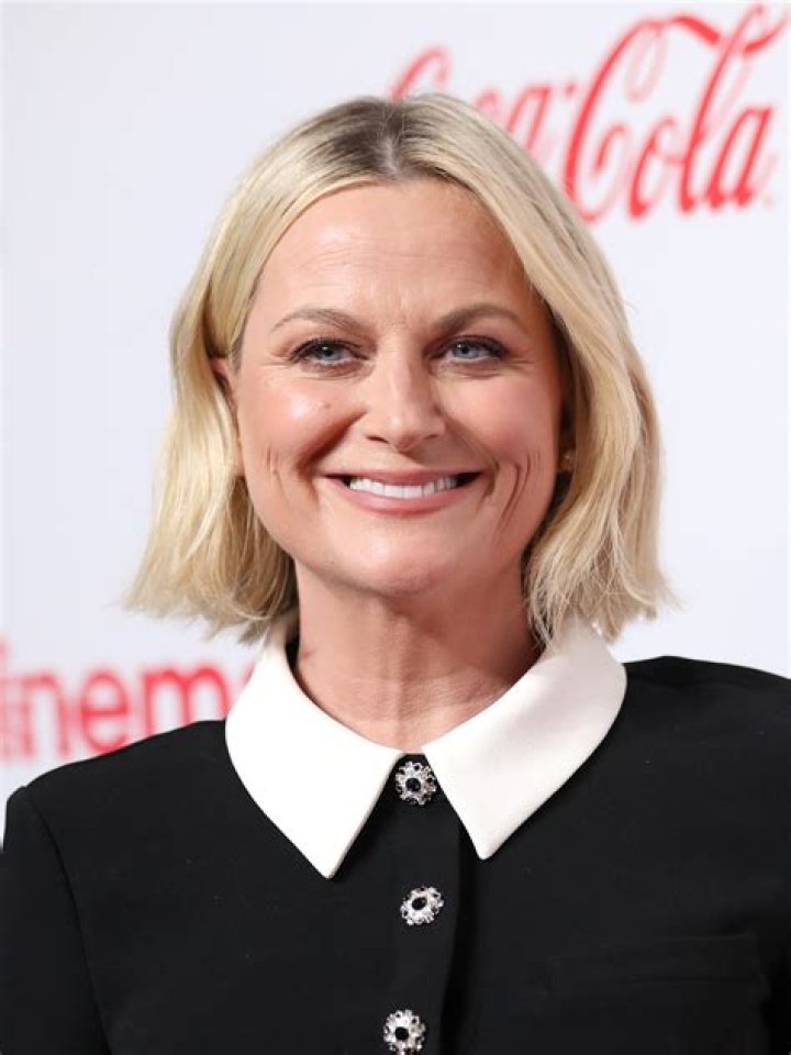 Amy Poehler Bio, Parents, Husband, Children, Siblings