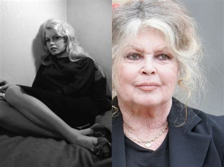Brigitte Bardot Age, Height, Bio, Parents, Husband, Net Worth