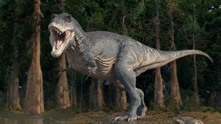 Leo Rex Parents: Meet Leo Rex’s Parents