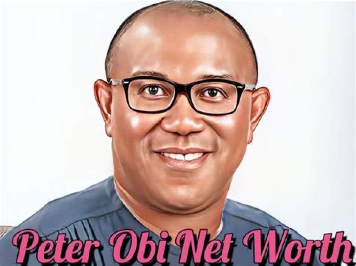 Peter Obi Net Worth: What is the Net Worth of Peter Obi?
