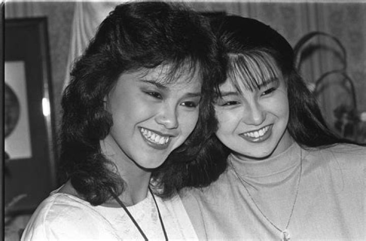 Sammi Cheng Parents: Meet Cheng Yan-nam And Lee Suet-hung