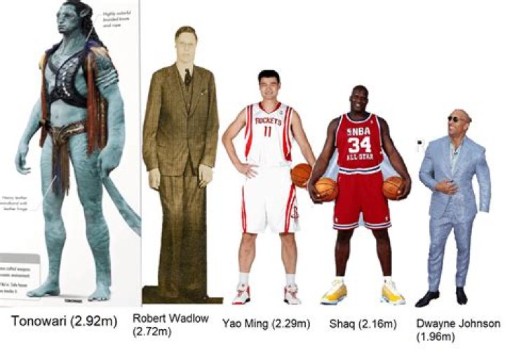 Stanley Johnson Height: How Tall Is Stanley Johnson?